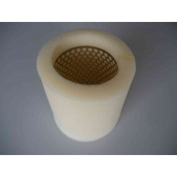 1145-10  FILTRE A AIR