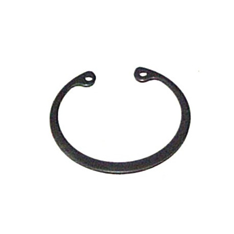 1239-05    CIRCLIPS  PAO