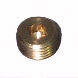 0163-06  BOUCHON D HUILE